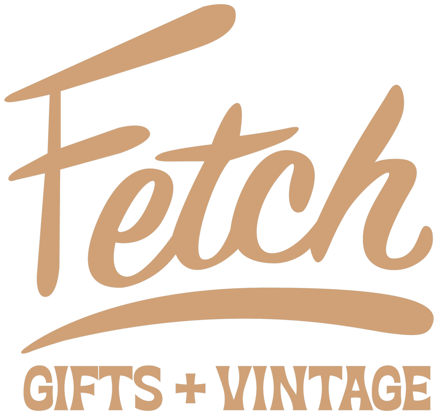 fetch logo